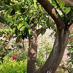 Ab בית הארחה